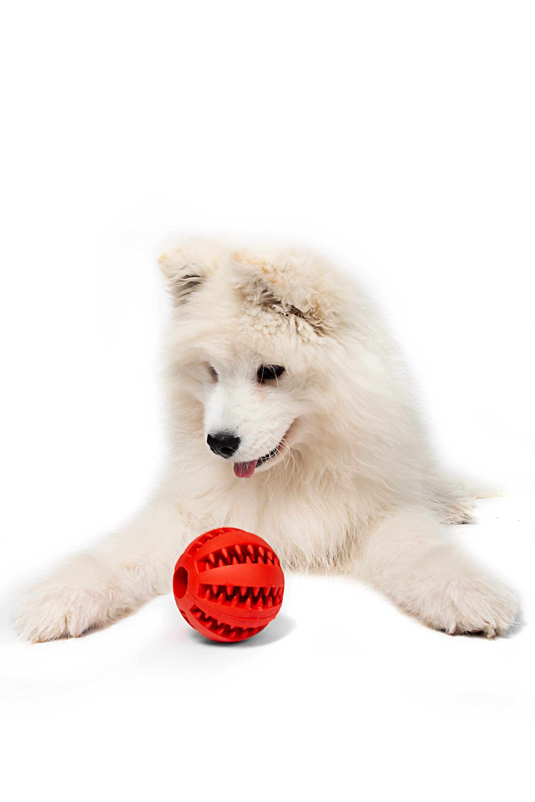 Dog Treat Ball *Red*