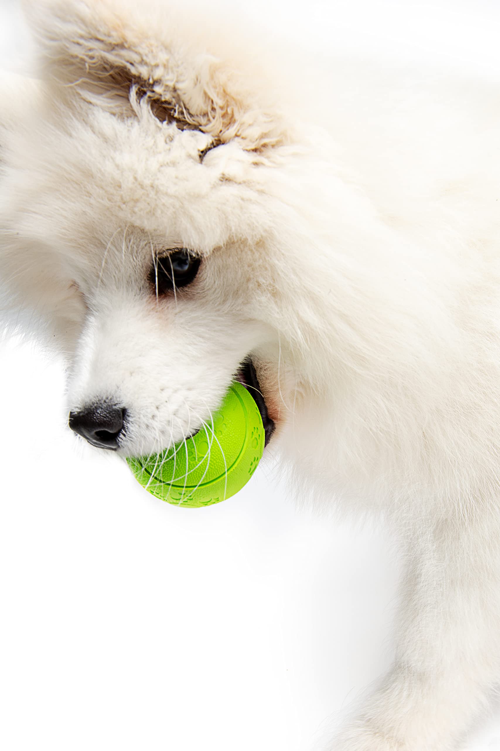 Dog Treat Ball*Green*