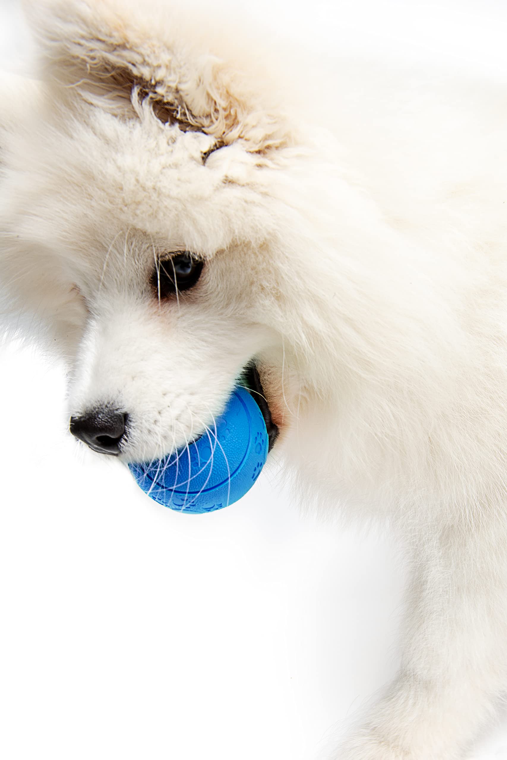 Dog Treat Ball*Blue*